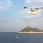 Greek Island